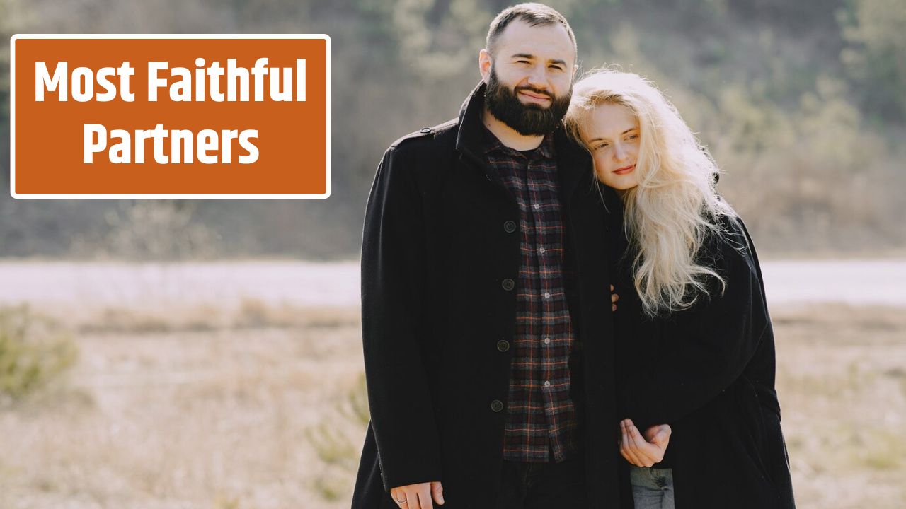 Most Faithful Partners