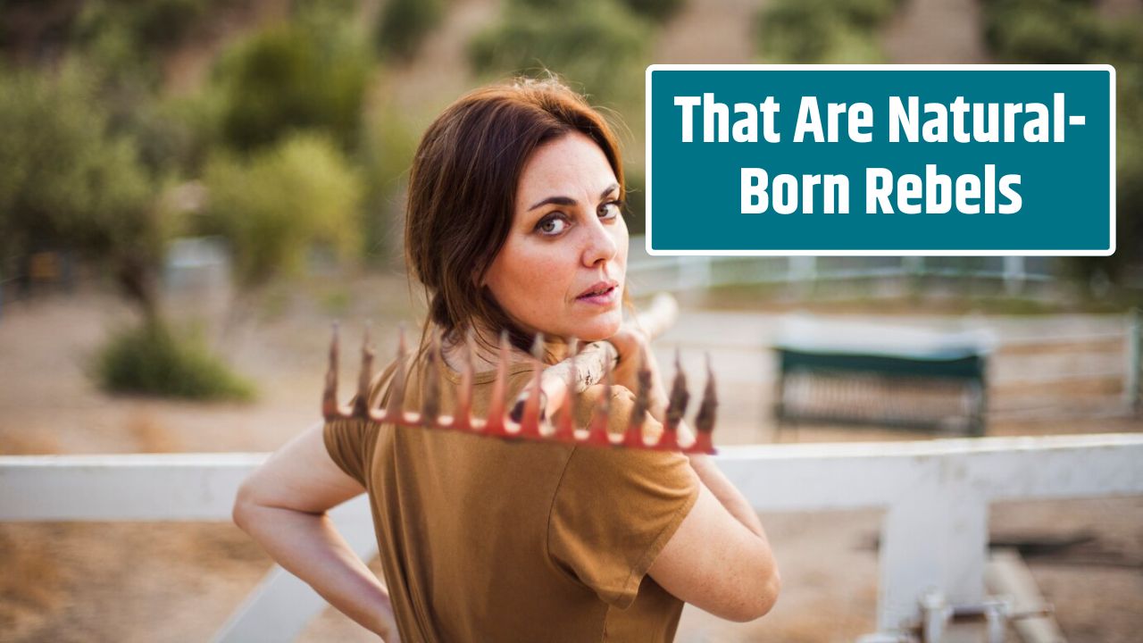 That Are Natural-Born Rebels